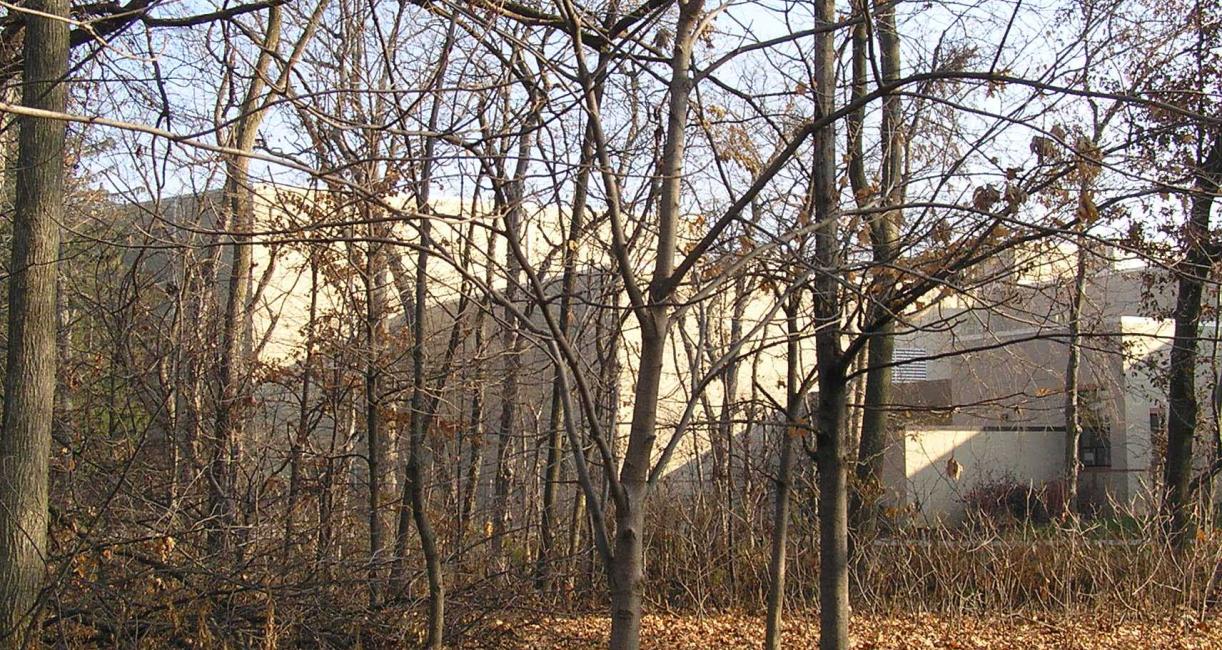 Tree habit